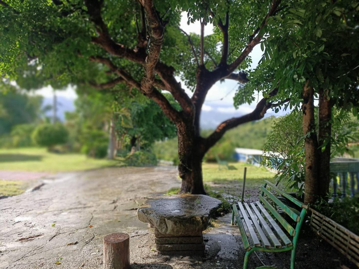 Отель 十畝田山莊會館 Чишан Экстерьер фото